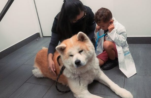 Future Veterinarians Welcome